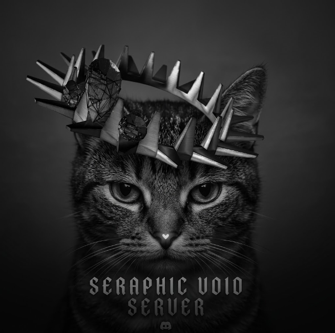 Seraphic Void taçlı kedi profil görseli